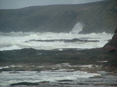 Drostan Shore in Spring